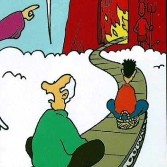 Meet your Posher, Ellis - Picture 1 of 1